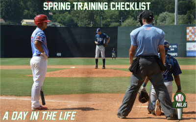 Spring Training Checklist: Minor Leaguer Shares Essentials to a Successful Spring Camp